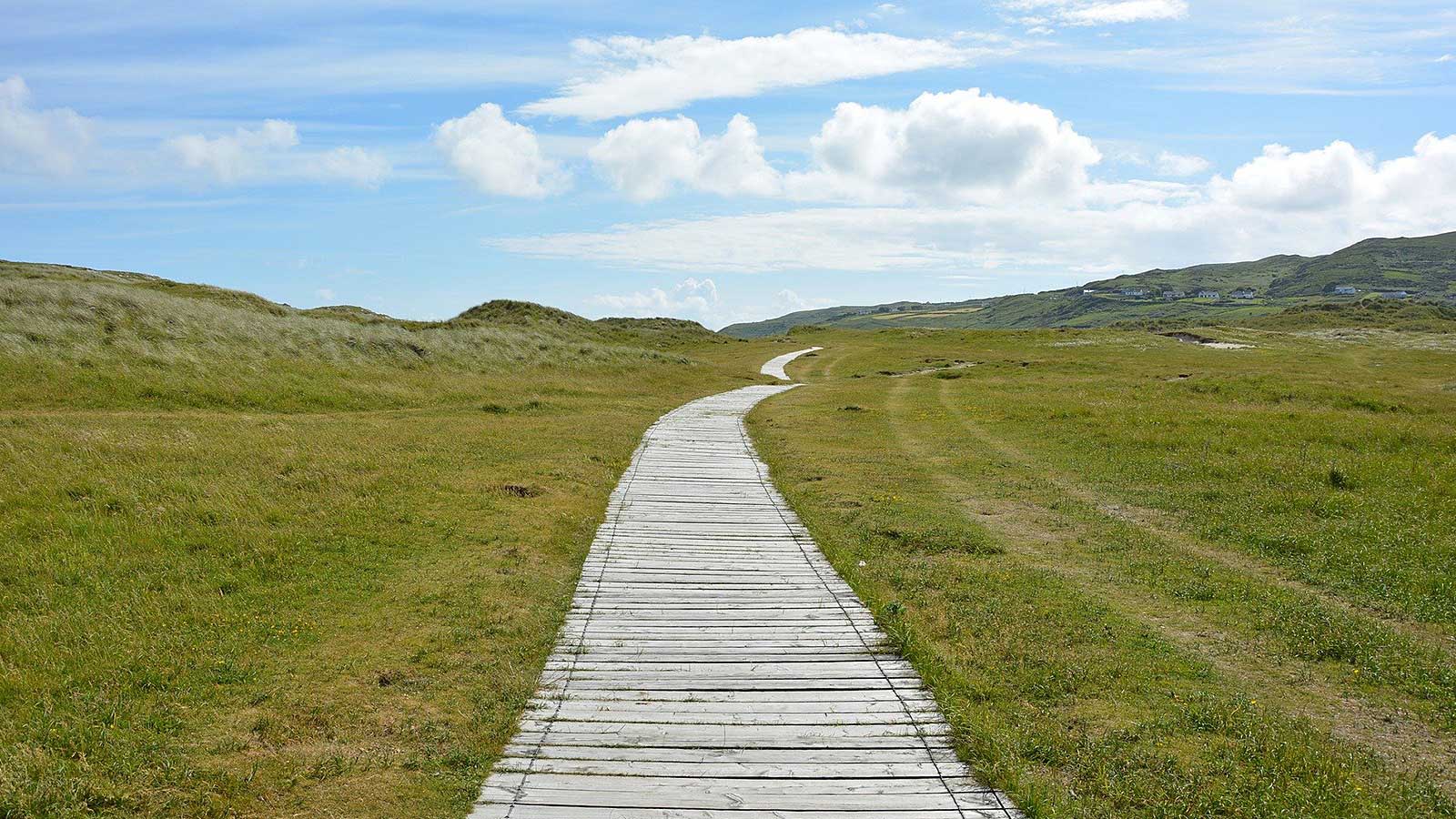 Ein Bohlenweg führt scheinbar ohne Ziel über eine große Wiese. Symbolbild für die 50x-Seite.